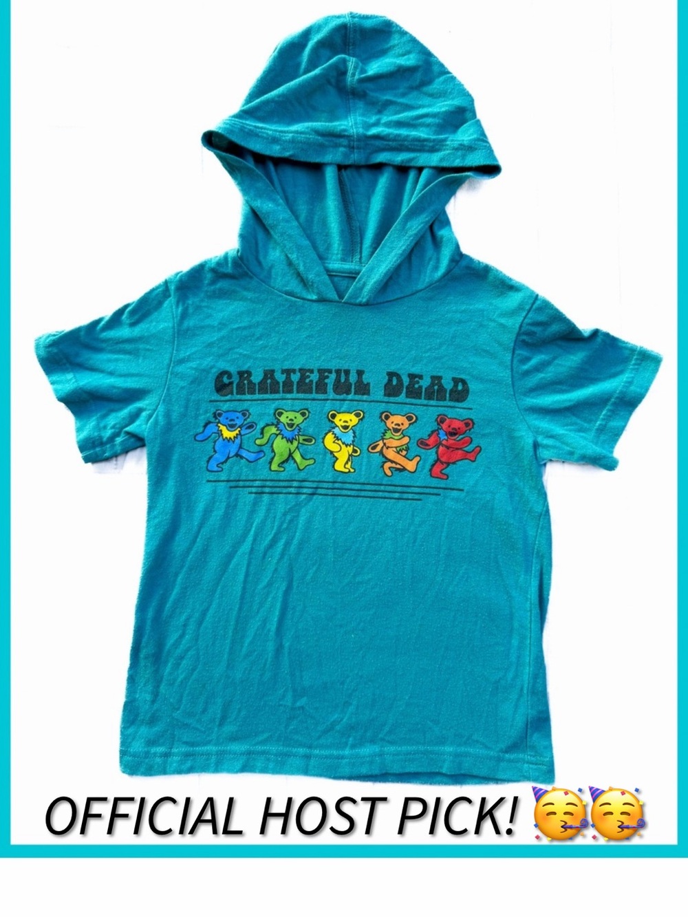 HP! Grateful Dead Short Sleeve Hoodie Dancing Bear 3t Boy Girl Concert Top Shirt - Picture 1 of 3